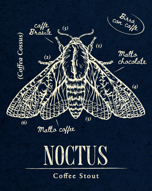 NOCTUS - COFFEE STOUT | 4x440 ml